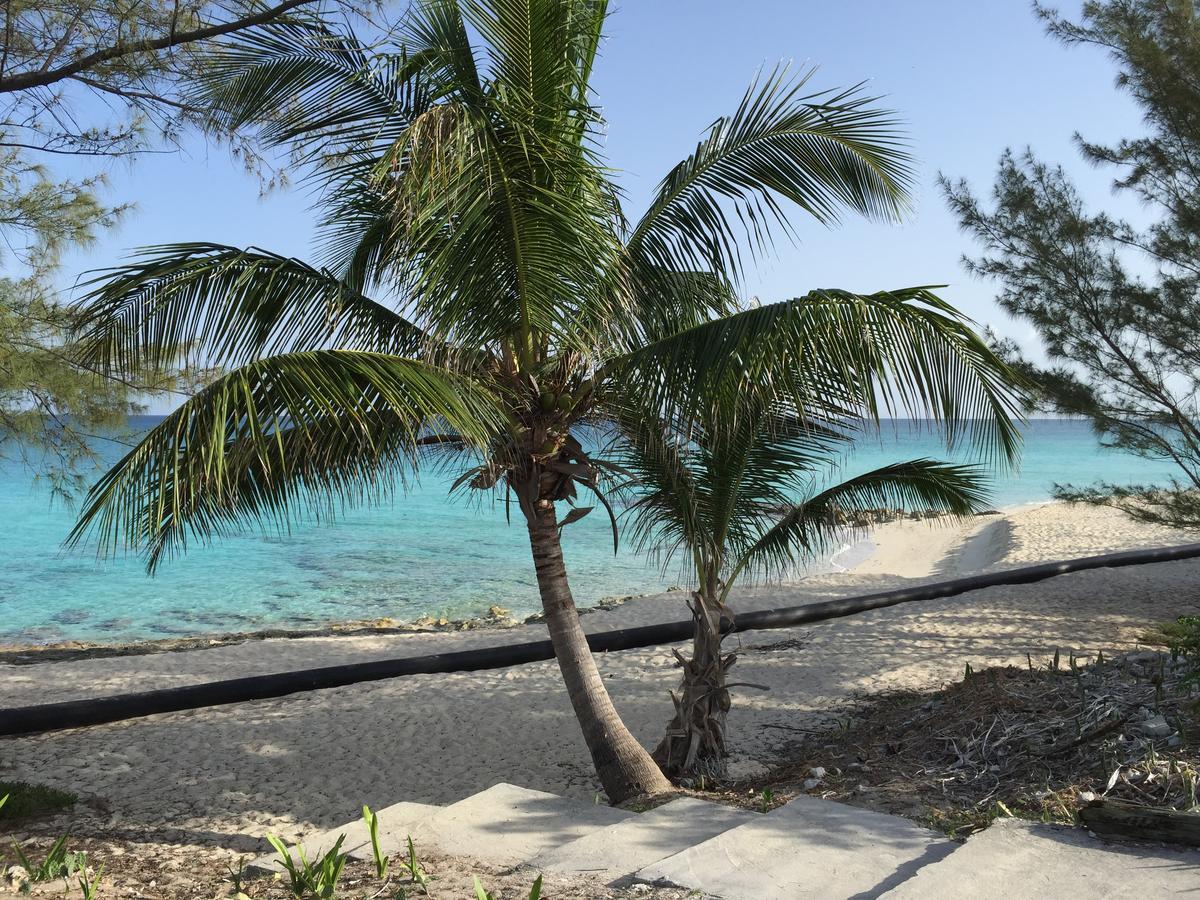 Bimini Seaside Villas - Pink Cottage With Beach View Alice Town  Exterior foto